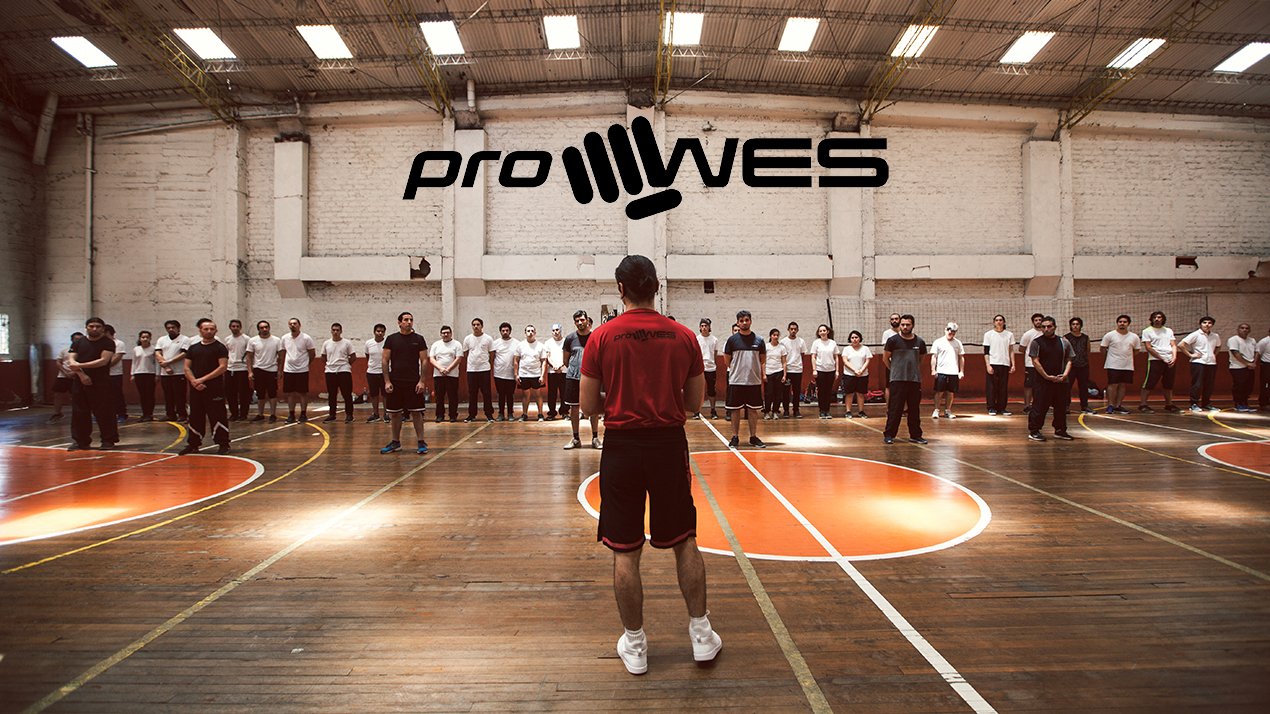 proWES seminar