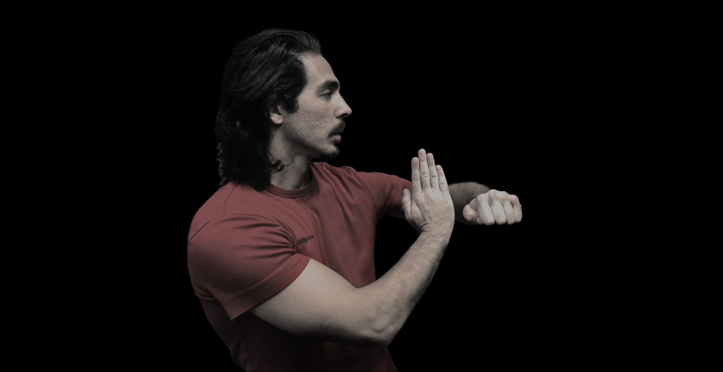 Cemil Uylukcu — WingChun